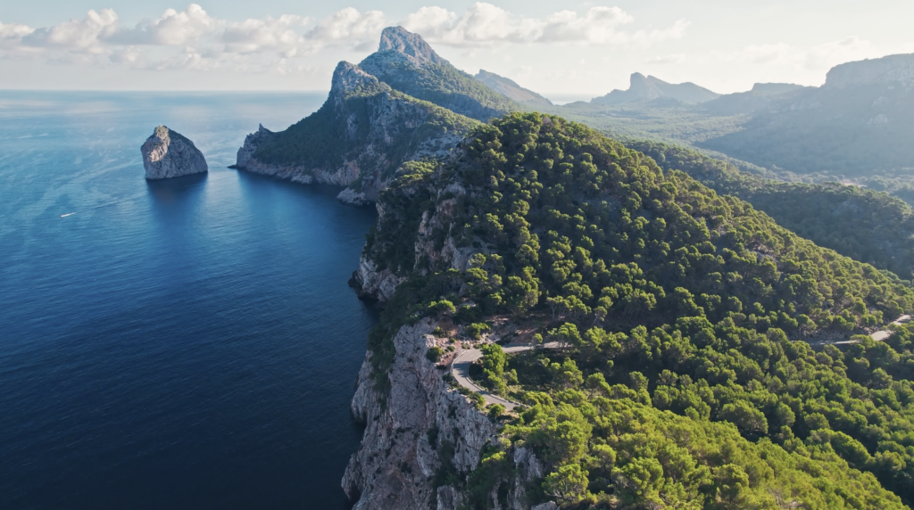Aerial view of a rugged coastal mountain and pine-covered cliffs above a calm blue sea